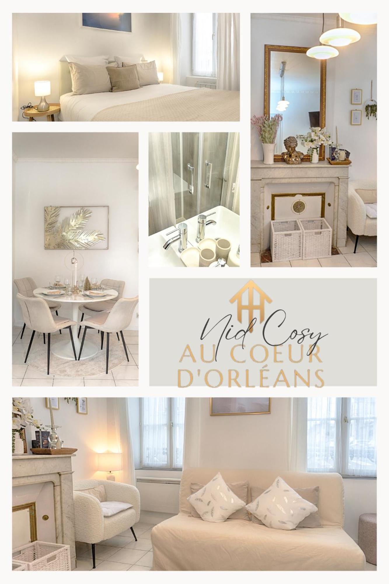 Le Nid Cosy -Au Coeur D'Orleans Lägenhet Exteriör bild
